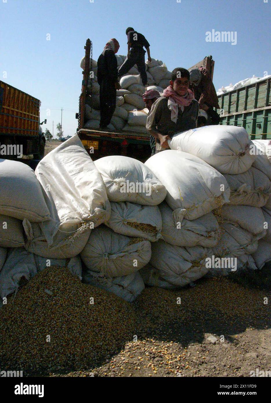 Ein irakischer Arbeiter entlädt 100-Pfund-Sack Saatgut von einem LKW in der Rawdwiniya Neighborhood Area Council Facility am 9. August. Die Arbeiter haben am Nachmittag 6 LKWs zur Verteilung am nächsten Morgen entladen. August 2004 Stockfoto