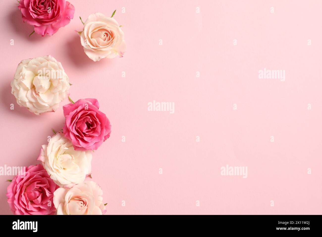 Alles Gute zum Muttertag. Schöne Rosen auf rosa Hintergrund, flach. Leerzeichen für Text Stockfoto