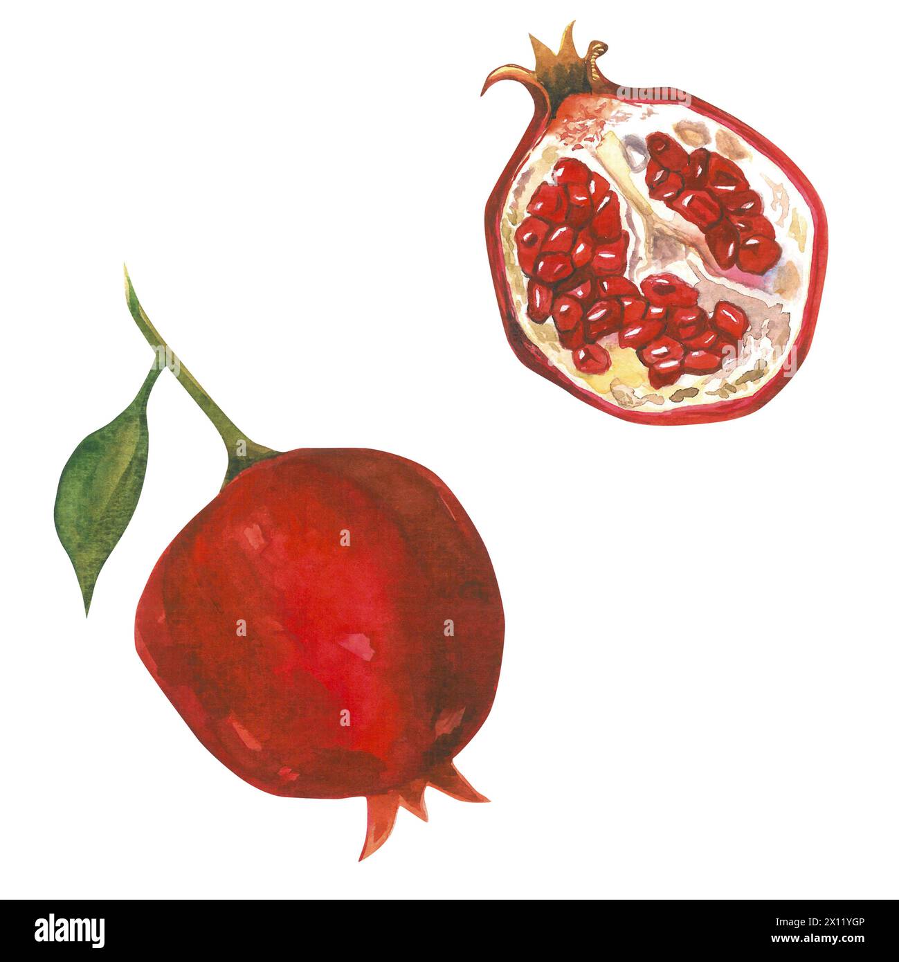 Aquarellillustration eines halben Granatapfels mit Samen und eines ganzen mit Blättern. Von Hand gezeichnete Komposition, isoliert auf weißem Hintergrund Stockfoto