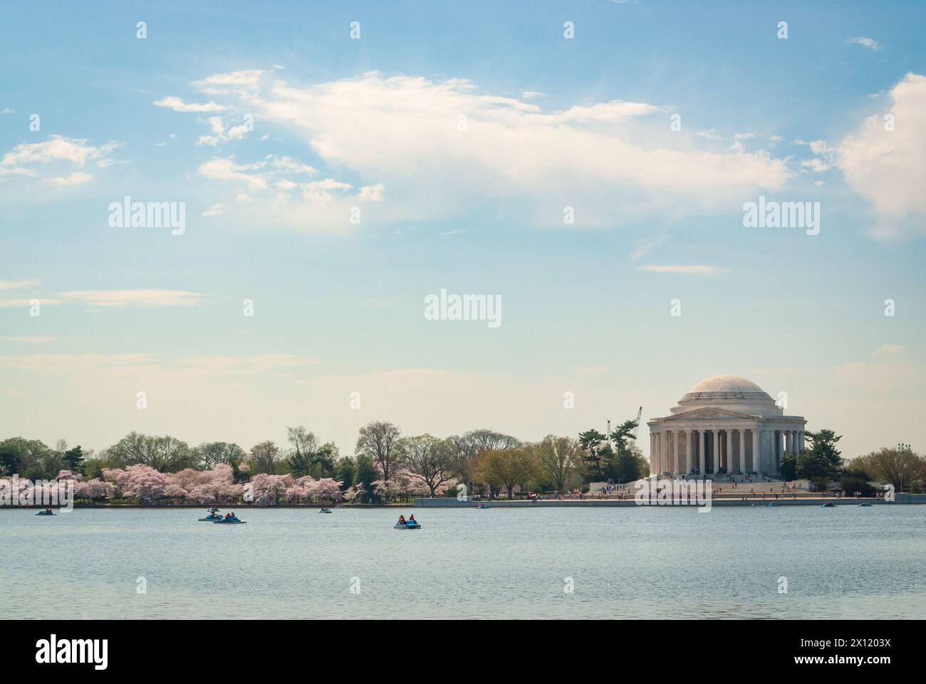 Das Tidal Basin on the Mall beim National Cherry Blossom Festival in Washington D.C., USA Stockfoto