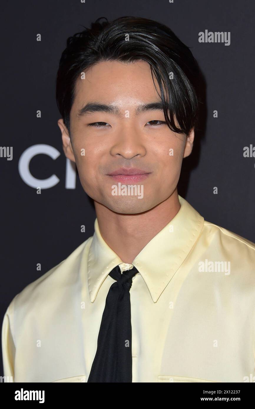 Dallas James Liu beim Screening der Netflix-Serie Avatar: The Last ...