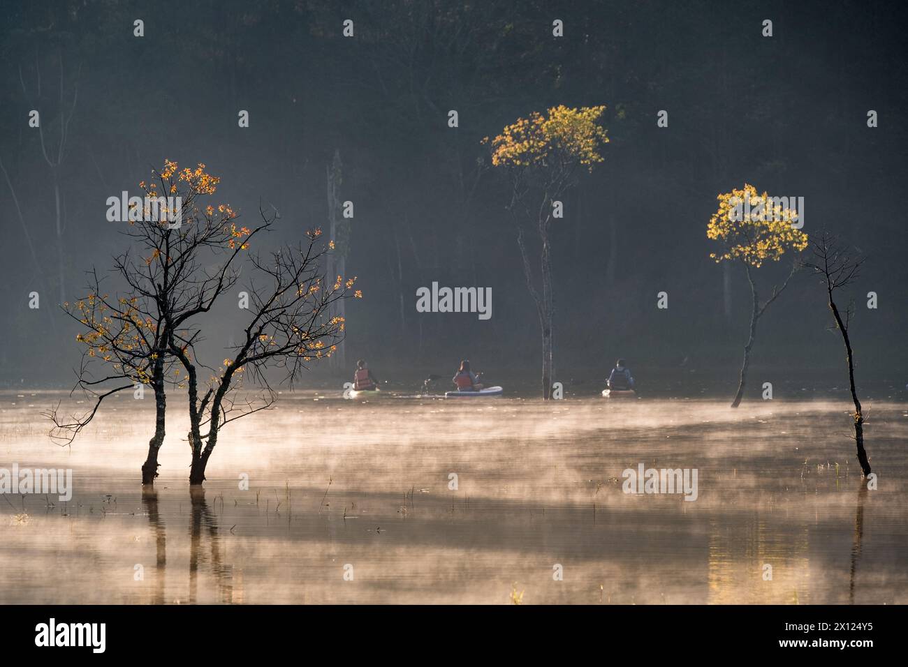 5. Februar 2023: Blick auf den Tuyen Lam See, da Lat Stadt, Vietnam im Herbst Stockfoto