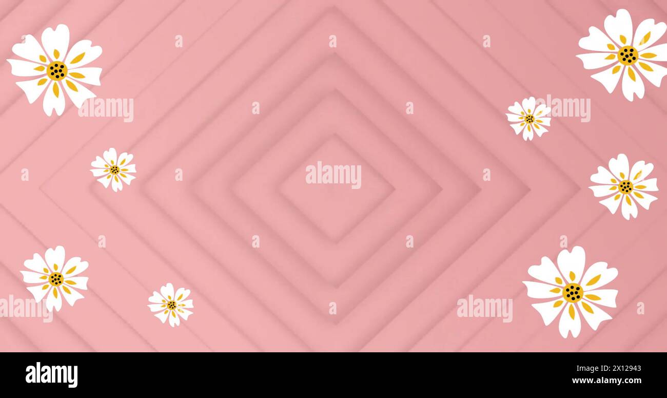 Bild von weißen Blumen über Formen auf rosafarbenem Hintergrund Stockfoto
