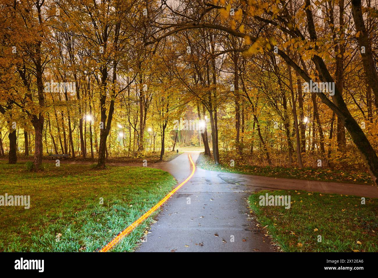 Herbstlicher öffentlicher Park bei Nacht Stockfoto