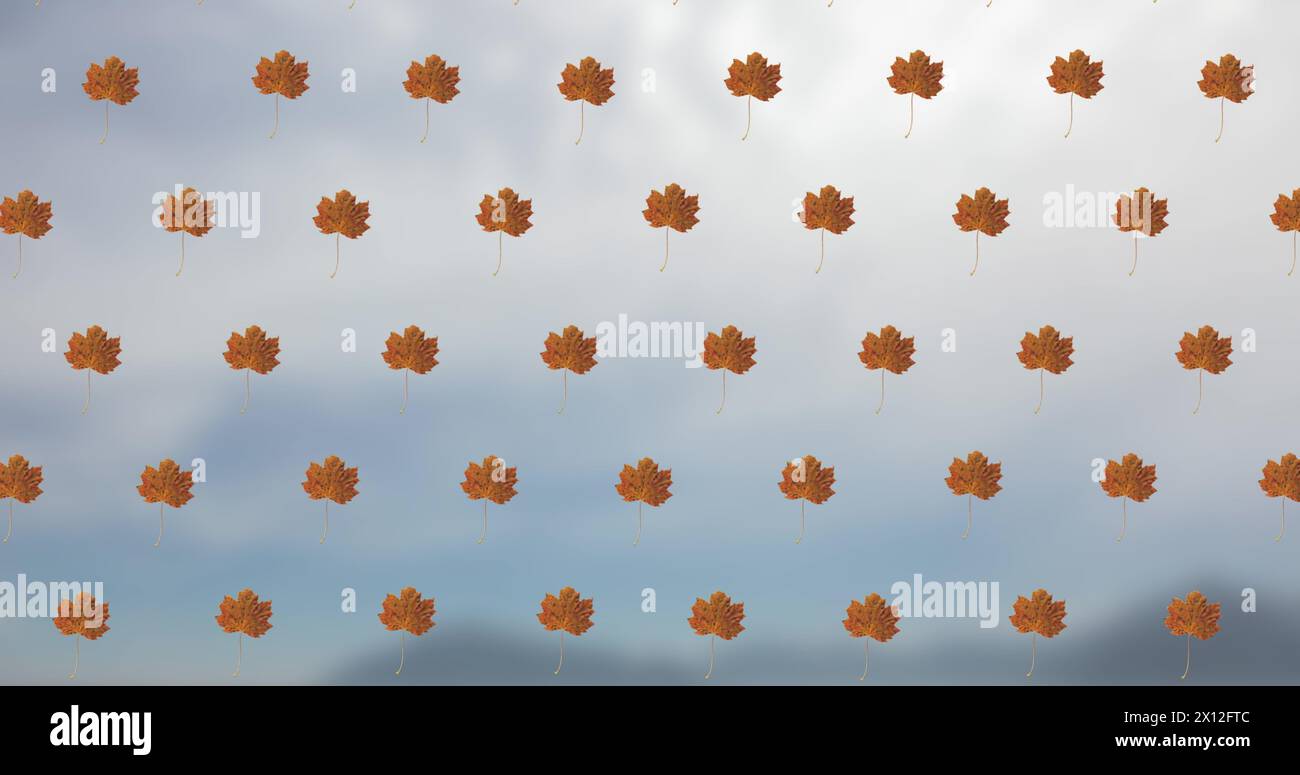 Bild von herabfallenden bunten Blättern über verschwommenem Hintergrund Stockfoto