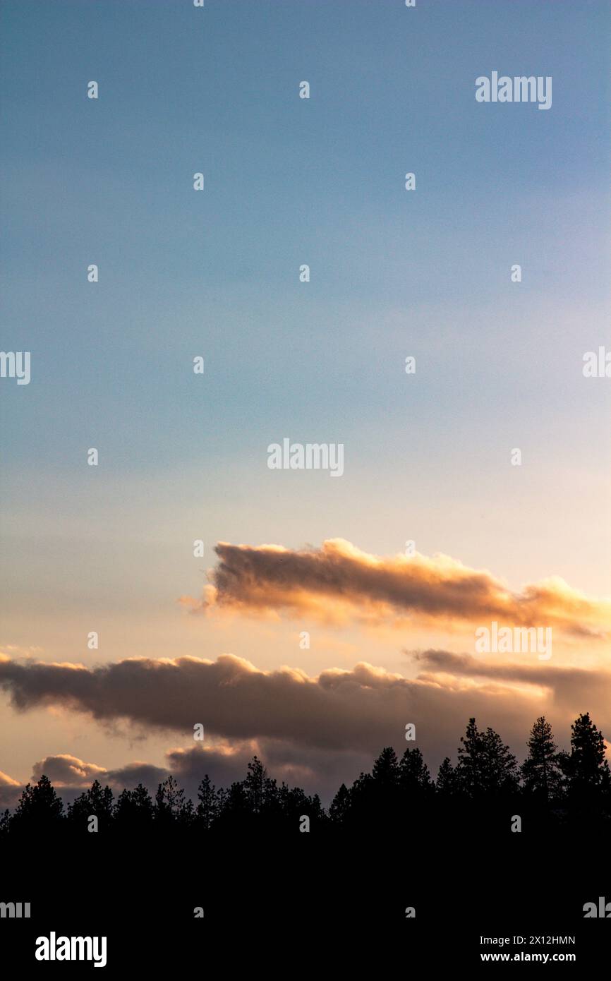 Silhouetten in der Abenddämmerung vor einem in der Dämmerung gemalten Himmel Stockfoto