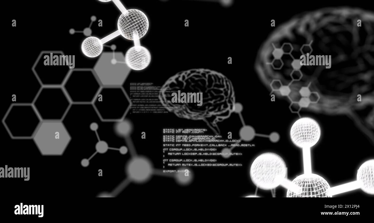 Bild menschlicher Gehirne und Datenverarbeitung auf schwarzem Hintergrund Stockfoto