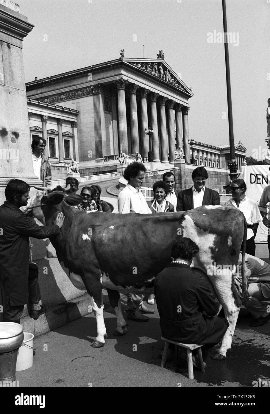 Das Foto wurde am 17. Mai 1988 anlässlich einer Demonstration der Österreichischen Grünen gegen die laufenden Verhandlungen über die Marktverordnungen takan und zeigt eine Kuh vor dem parlament, die gemolken wird. - 19880517 PD0009 - Rechteinfo: Rechte verwaltet (RM) Stockfoto