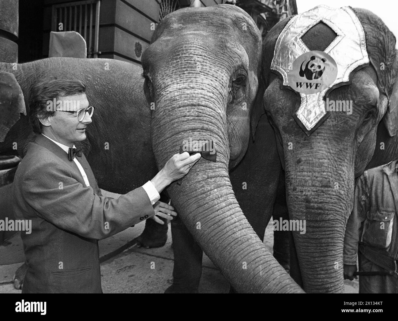 Wien am 14. September 1989: Der World Wildlife Fund (WWF) demonstrierte vor der japanischen Botschaft gegen die Elefantenjagd. Im Bild: Österreichs Wirtschaftsminister Wolfgang Schuessel spendet seine Fliege einem Elefanten. - 19890914 PD0007 - Rechteinfo: Rechte verwaltet (RM) Stockfoto