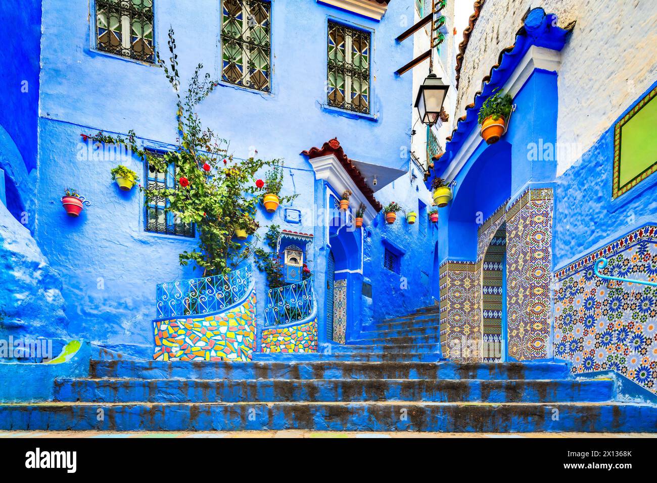 Chefchaouen, Marokko. Blaue Treppe und Wand mit farbenfrohen Blumentöpfen, Medina Chefchaouen, Reiseziel Nordafrika. Stockfoto