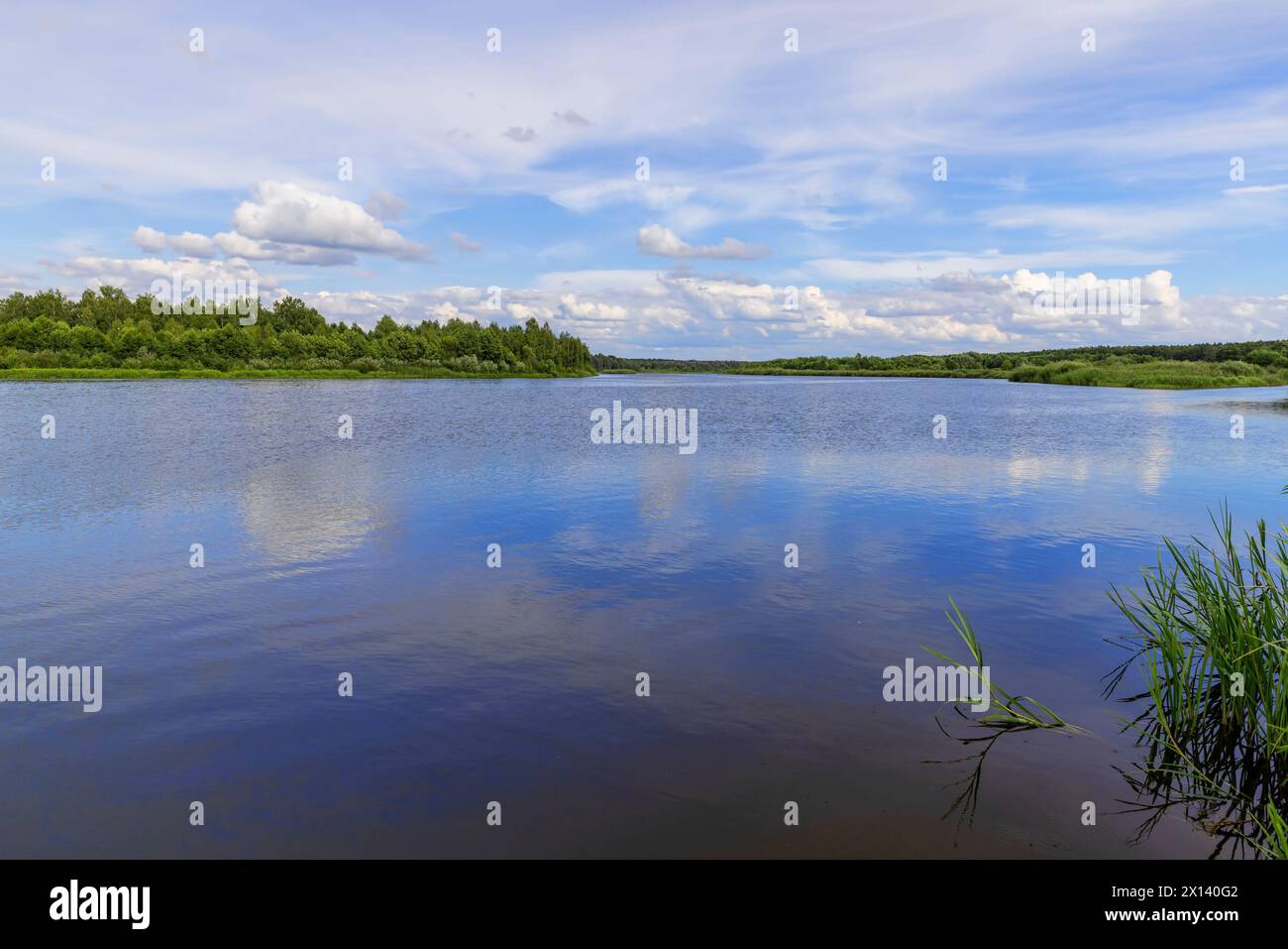 Alter verrotteter Orangenkürbis, alter verdorbener Orangenkürbis Stockfoto