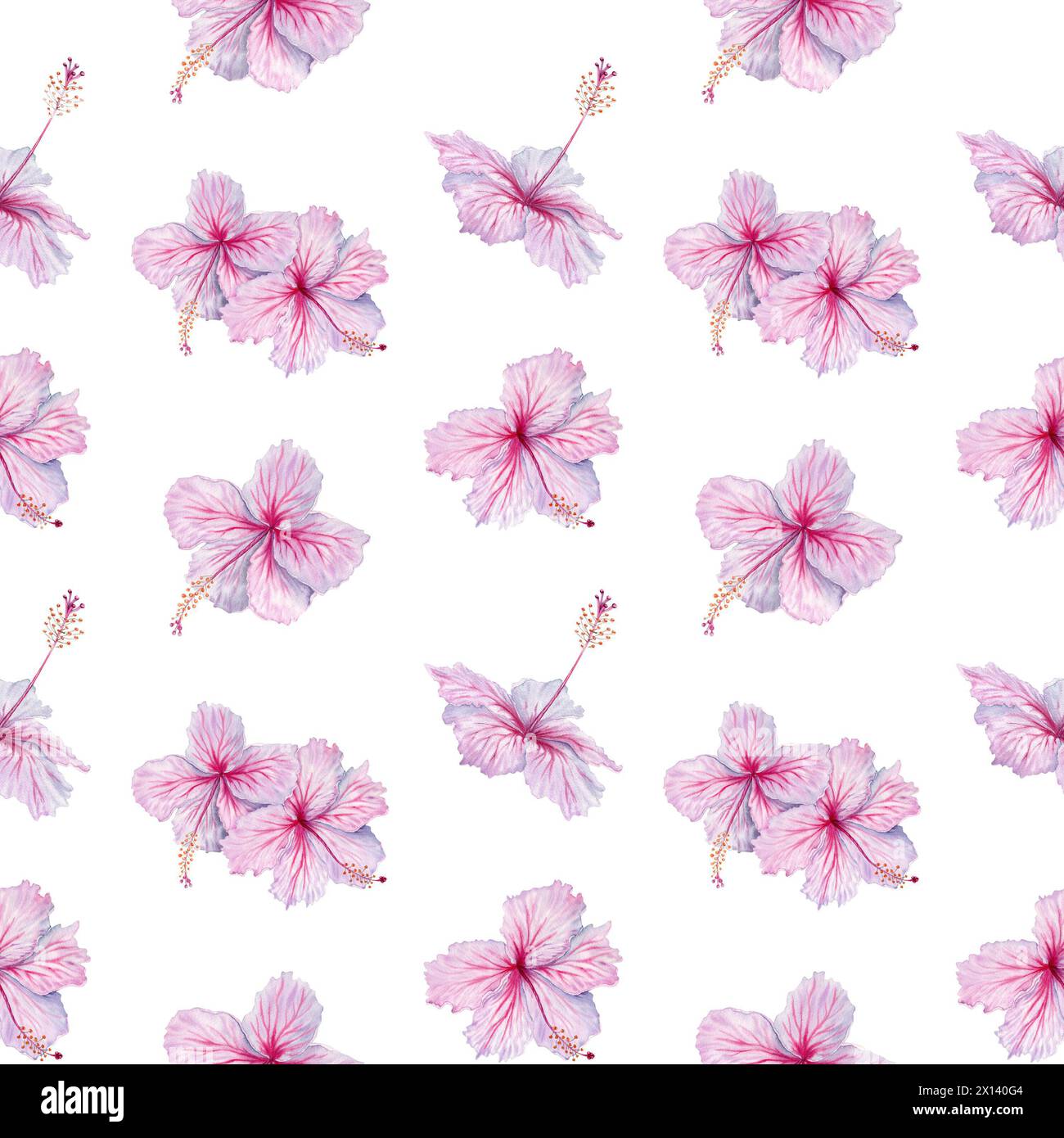 Nahtloses Muster der rosafarbenen Hibiskusblüten. Aquarellabbildung isoliert auf weißem Hintergrund. Blumenmuster für Tapeten und Bettwäsche Stockfoto