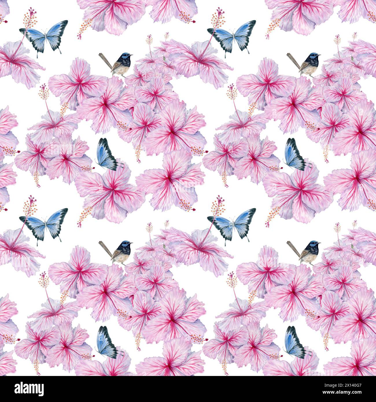 Rosafarbene Hibiskusblüten nahtloses Muster mit blauen Schmetterlingen und Zwittervogel. Aquarellabbildung isoliert auf weißem Hintergrund. Tapete mit Blumenmuster Stockfoto