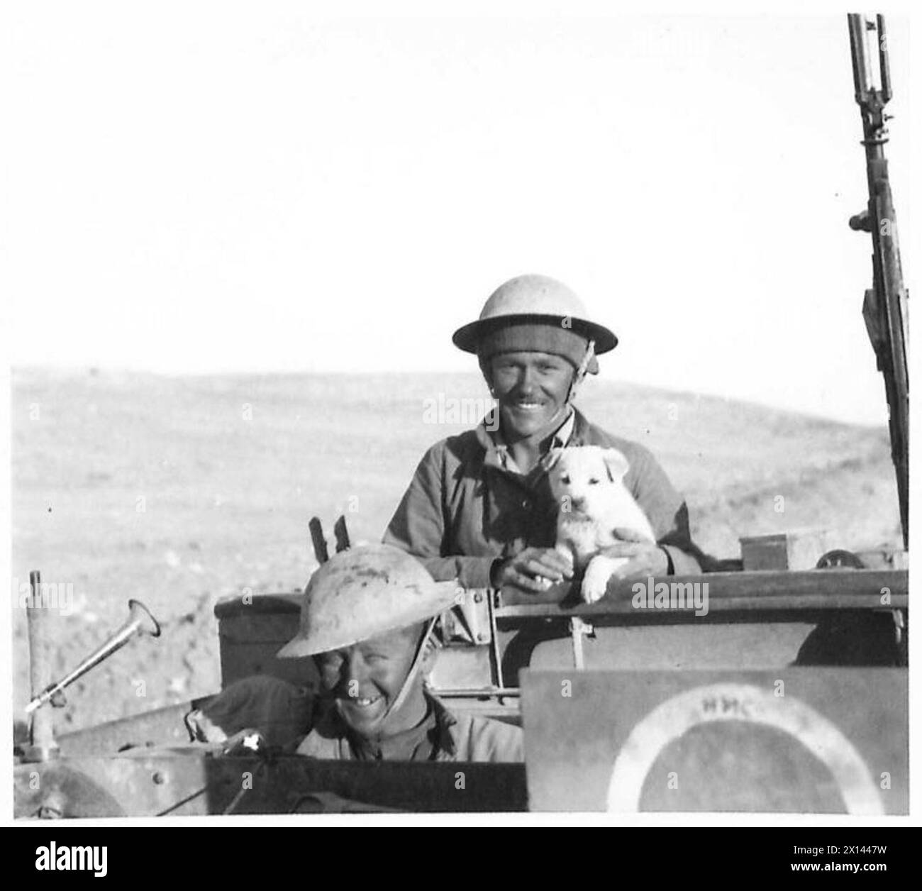 WEITERE BILDER DES BRITISCHEN VORMARSCHES IN DER westlichen WÜSTE - fröhliche Männer einer leichten mobilen Einheit mit ihrem Maskottchen auf der Straße Tobruk-Derna British Army Stockfoto