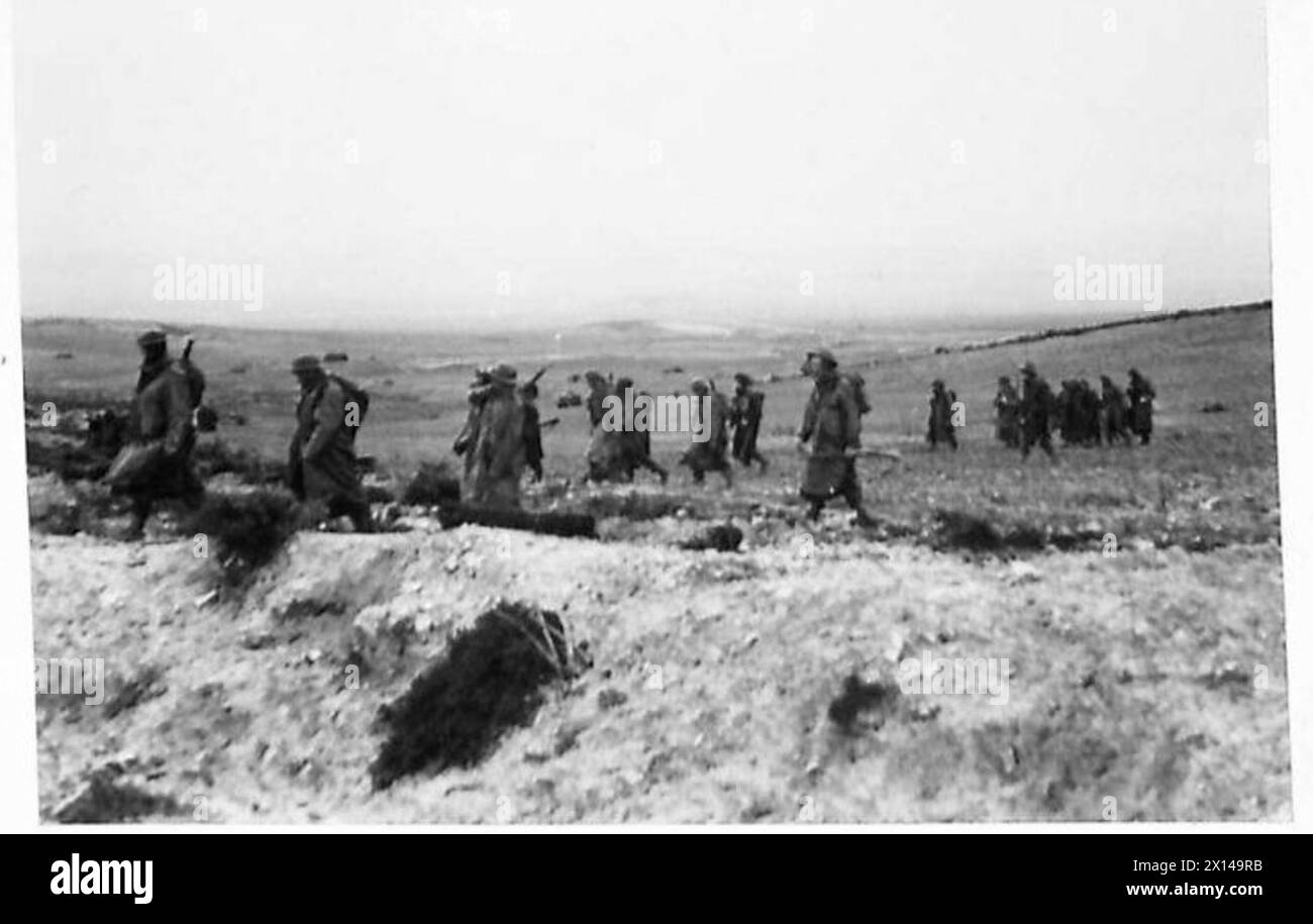 DIE BRITISCHE ARMEE IM TUNESISCHEN FELDZUG, NOVEMBER 1942–MAI 1943 – Truppen des 1. Bataillons, Royal Irish Fusiliers, ziehen auf, um die Überreste des 6. Bataillons, Royal Inniskill Fusiliers, zu unterstützen. Die Schlacht von Bou Arada. Ein von den Deutschen gehaltener Beobachtungsposten war als „Two Tree“ Hill bekannt, da auf seinem höchsten Punkt zwei Bäume wuchsen. Am Abend des 10. Januar näherte sich eine Patrouille deutscher Panzer, die etwa 15 Mann stark waren, und erreichte den Stadtrand von Bou Arada Stockfoto