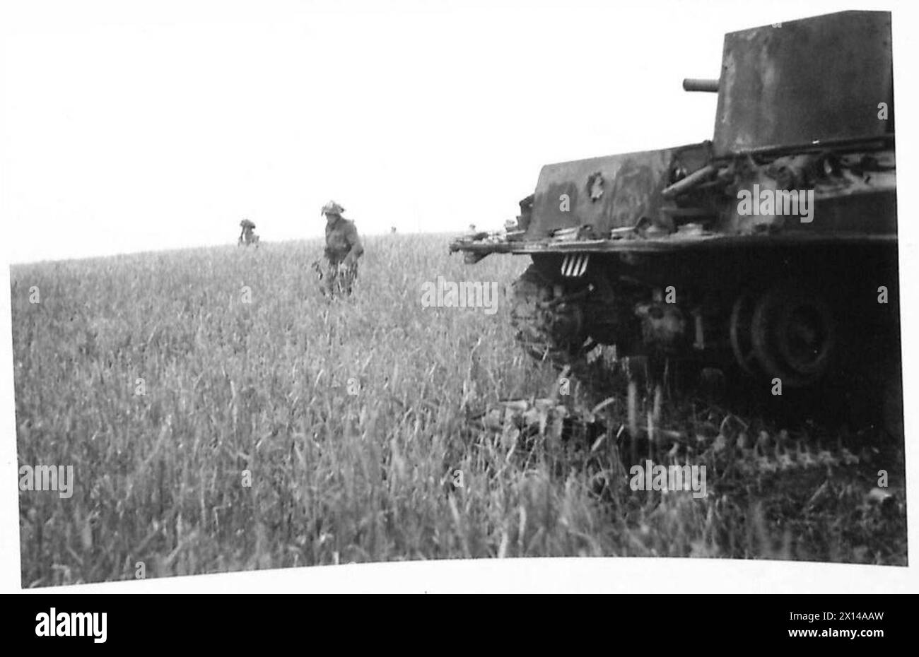 INFANTERIE-VORMARSCH DURCH DIE WHEATFIELDS - vorbei an einem kaputten Panzer unsere Infanterie-Vormarsch über eine wheatfield British Army, 21st Army Group Stockfoto