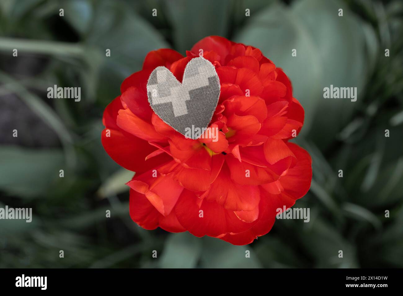 Auf der großen roten Blume liegt ein Herz aus Tarnstoff für Militäruniform. Stoppt den Krieg. Mit Liebe und Dankbarkeit den Soldaten der Streitkräfte. Stockfoto