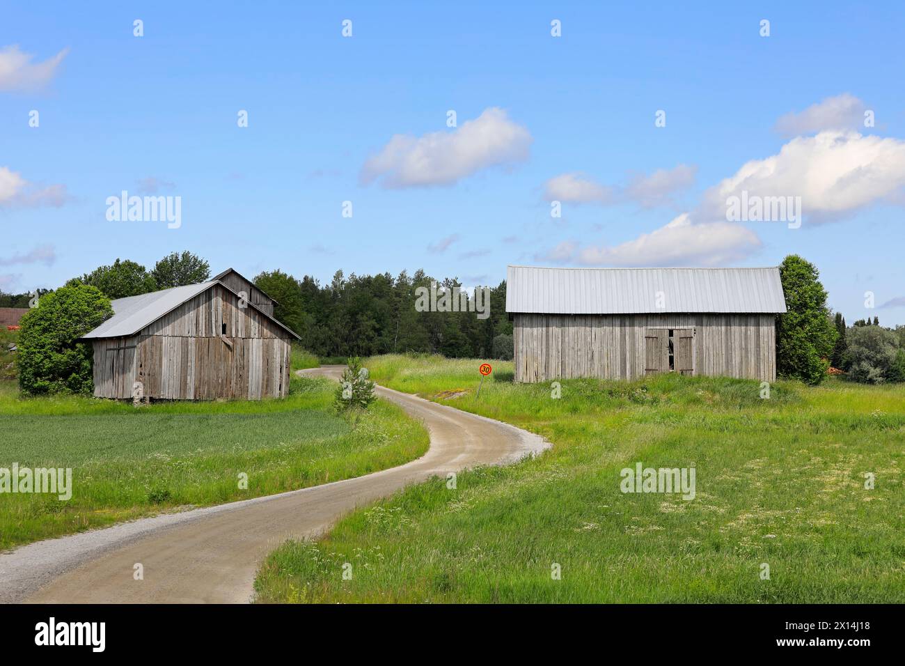 Ländliche Landschaft mit unbefestigtem Weg und zwei grauen Holzscheunen in Salo, Finnland an einem sonnigen Tag mit blauem Himmel und Wolken. Stockfoto