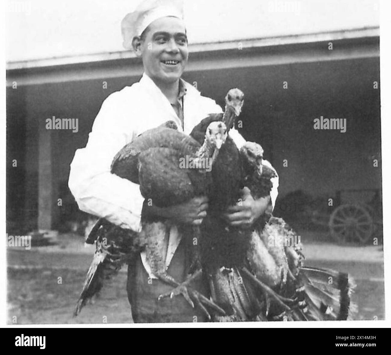 Pte. Alfred Perry, REME, betreut Hunderte von Truthühnern und Schweinen bei den Workshops der Advanced Base Nr. 1 in Rom, die das Weihnachtsessen für Soldaten in Italien vorbereiten. Stockfoto