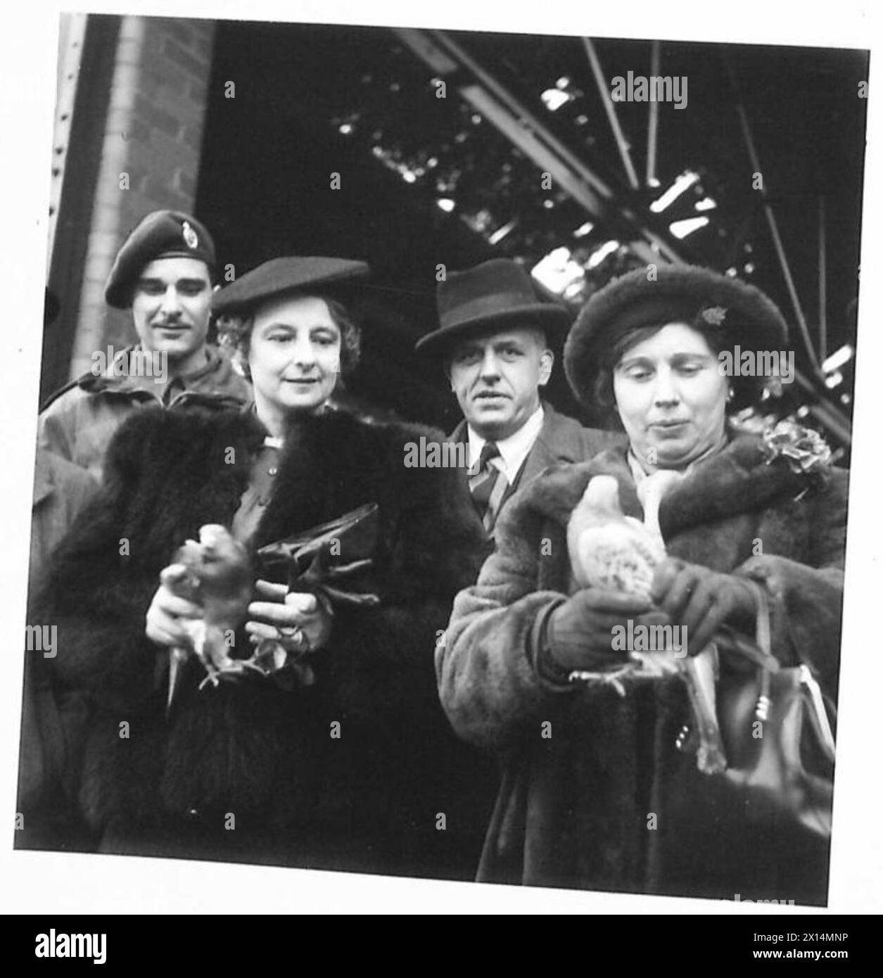 NETHERAVON AERODROME – Nachricht wird von den Tauben gesendet, als die Abgeordneten die Demonstration besuchten. Mrs. Mavis Tate (links) und Mr. Cazalet Keir (rechts) bereiten sich darauf vor, die Tauben auf ihrer Reise der Britischen Armee freizulassen Stockfoto