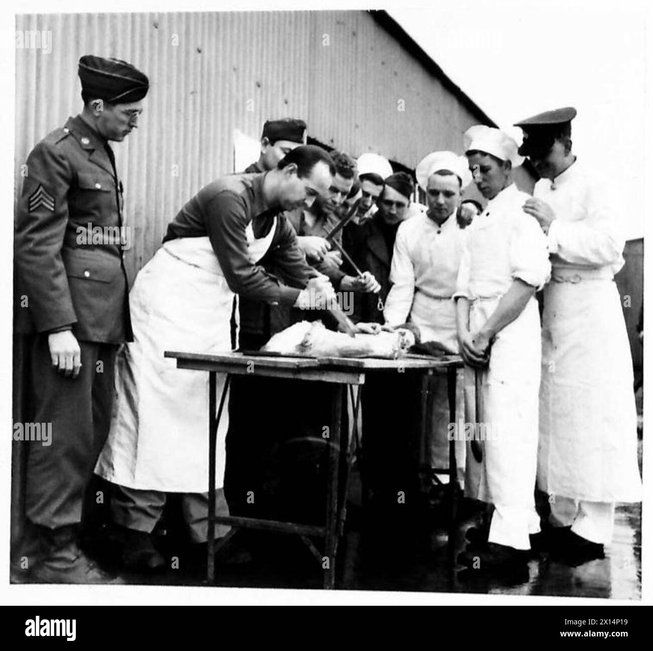 Britische und amerikanische Armeeköche vergleichen die Methoden des gemeinsamen Schneidens mit einem amerikanischen Metzger, der seine Technik demonstriert. Stockfoto