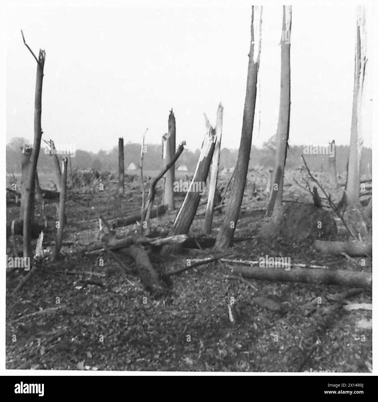 Eine Munitionsdeponie explodiert und beschädigt umliegende Bäume unter Aufsicht der britischen Armee. Stockfoto