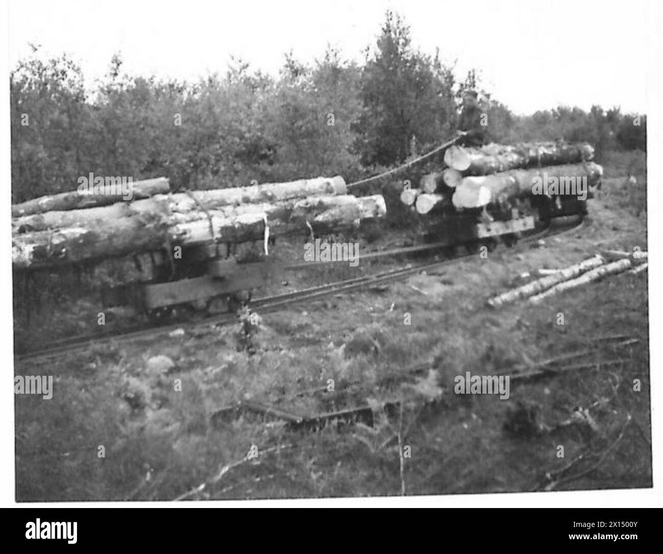 Die Rt. Hon S. M. Bruce besuchte australische Holzfäller in Schottland und überwachte den Transport von Fällen zu Sägewerken mit einer Kleinspurbahn und Holzzügen. Stockfoto