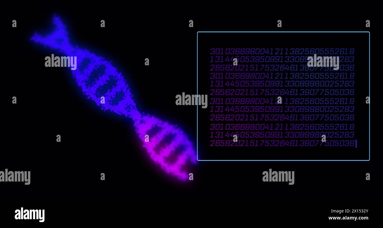 Bild der Datenverarbeitung mit dna-Strang auf schwarzem Hintergrund Stockfoto