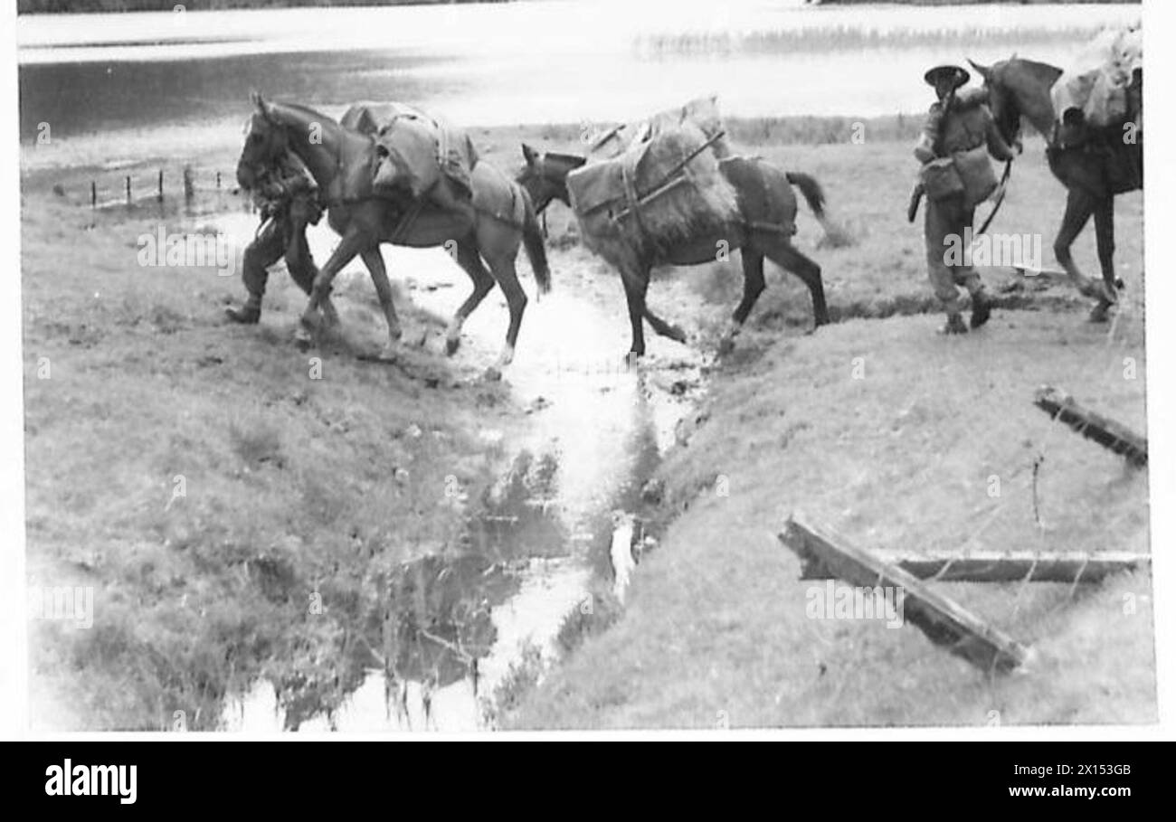 Die Royal Indian Army Service Corps mit einem Maultierzug durchquert die schottische Landschaft und transportiert im Rahmen einer militärischen Übung Vorräte. Stockfoto