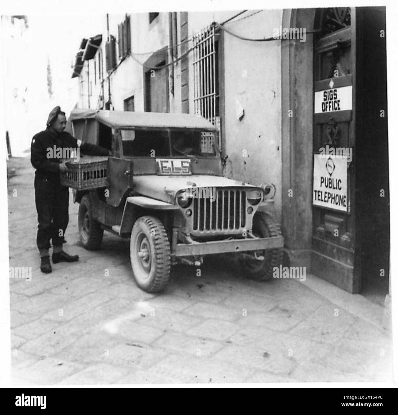 Eine Ladung Tauben wird zum 13. Korps-Signalzentrum für militärische Kommunikationszwecke geliefert. Stockfoto