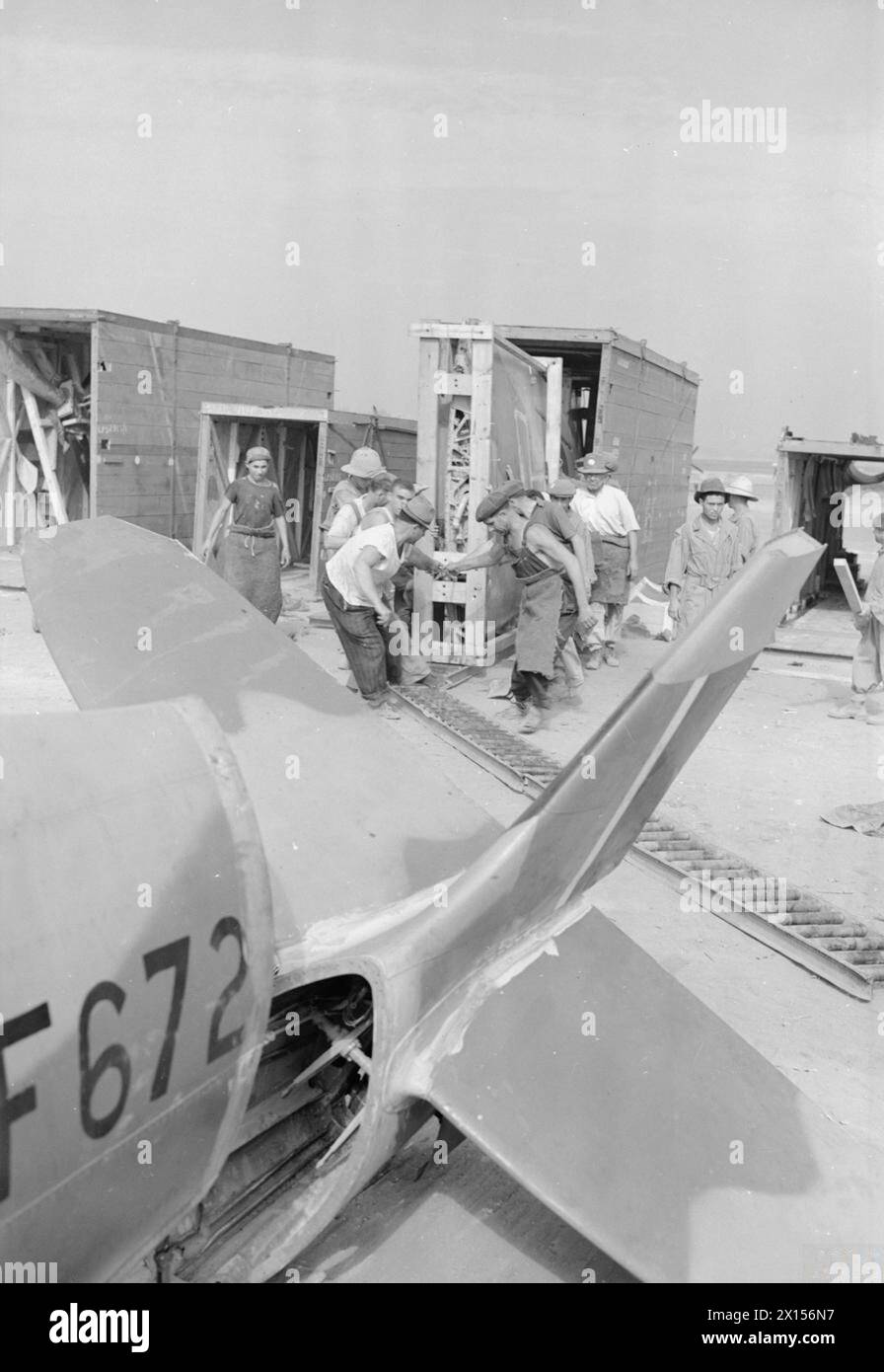 ROYAL AIR FORCE OPERATIONEN IM NAHEN OSTEN UND NORDAFRIKA, 1939-1943. - Zivilarbeiter, die den Flügel eines Supermarine Spitfire Mark VIII vor der Montage des Flugzeugs (JF672, im Vordergrund) durch die Wartungseinheit Nr. 145 am Flughafen Cazès, Casablanca, Marokko, aus der Kiste laufen lassen. Die meisten der in 145 MU beschäftigten Zivilisten waren spanische Flüchtlinge, die nach dem Sieg von General Franco im Bürgerkrieg nach Nordafrika flohen. Sie wurden von den Vichy-Franzosen inhaftiert, aber von den Alliierten im November 1942, Royal Air Force, Maintenance Unit, 145 freigelassen Stockfoto