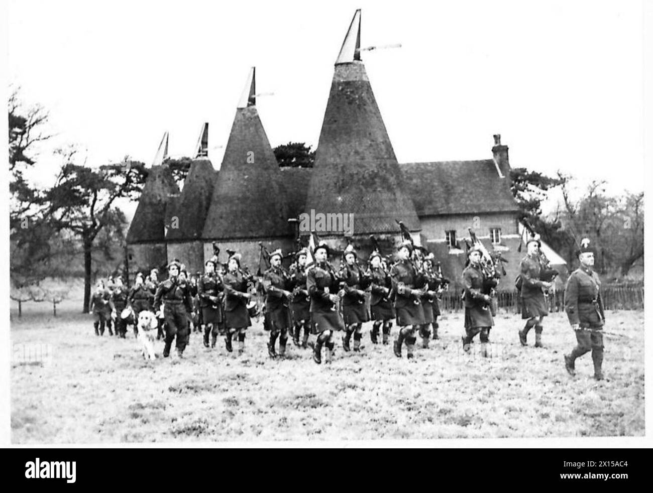 Die Pipe Band of the London Irish Rifles paradiert in der Nähe von Tunbridge Wells mit ihrem Irish Wolfhound Maskottchen. Stockfoto