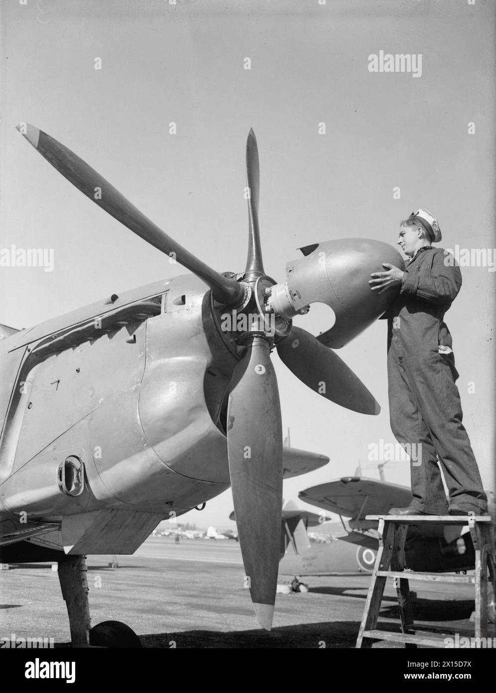 A/M (E) Healey passt den Spinner auf einen Torpedobomber von Fairey Barracuda, nachdem er im Januar 1944 auf der HMS Cormorant II, Royal Naval Air Station Gibraltar, gestartet wurde. Fotografische Aufzeichnung, British Navy. Stockfoto
