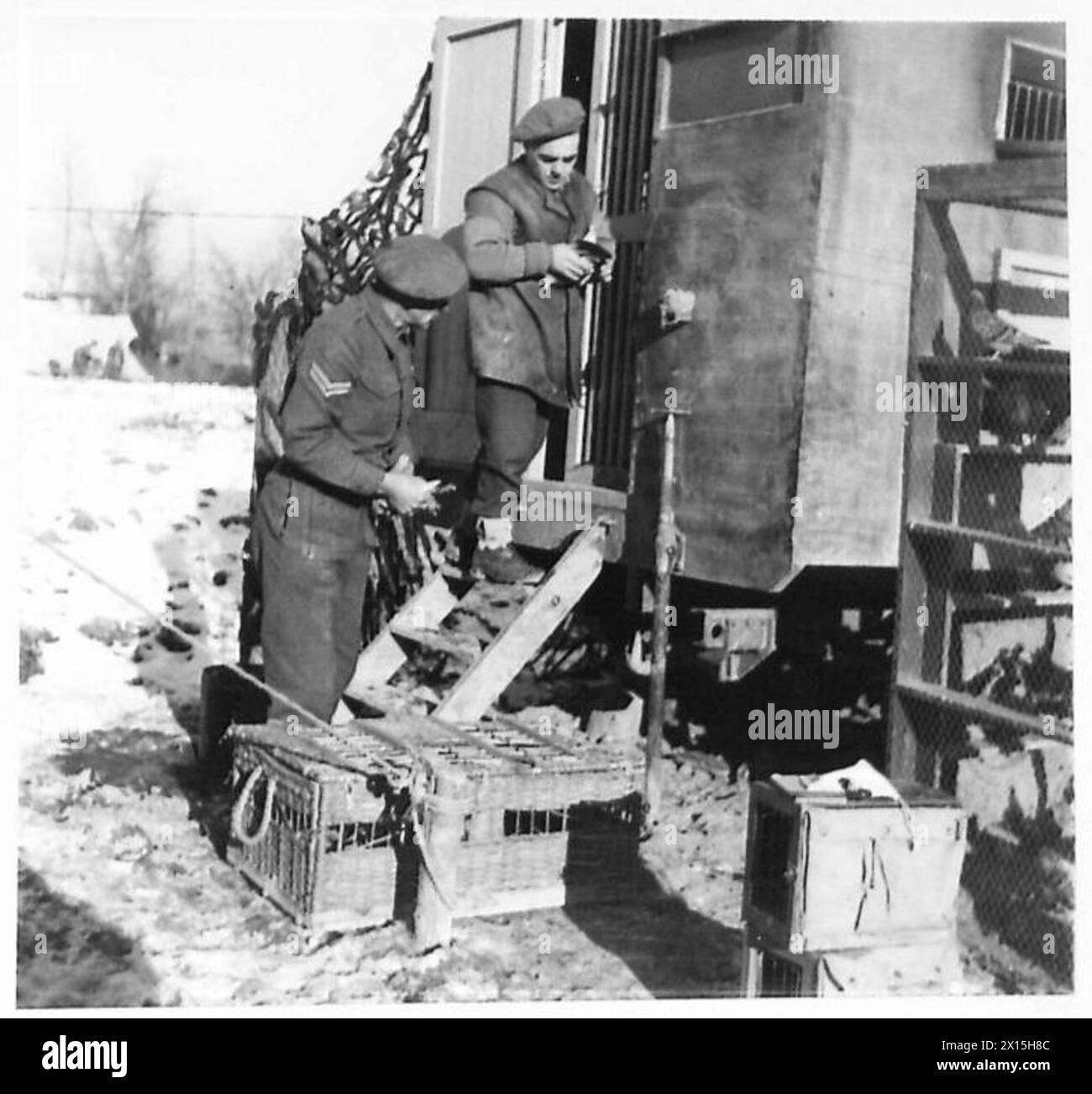 Corporal H. Jones und Signalman G.D. Thorpe transportieren Brieftauben von einem Loft in Körbe für den Einsatz in ein Vorwärtsgebiet, um die Kommunikation für die 5. Armee während des Zweiten Weltkriegs zu unterstützen Stockfoto