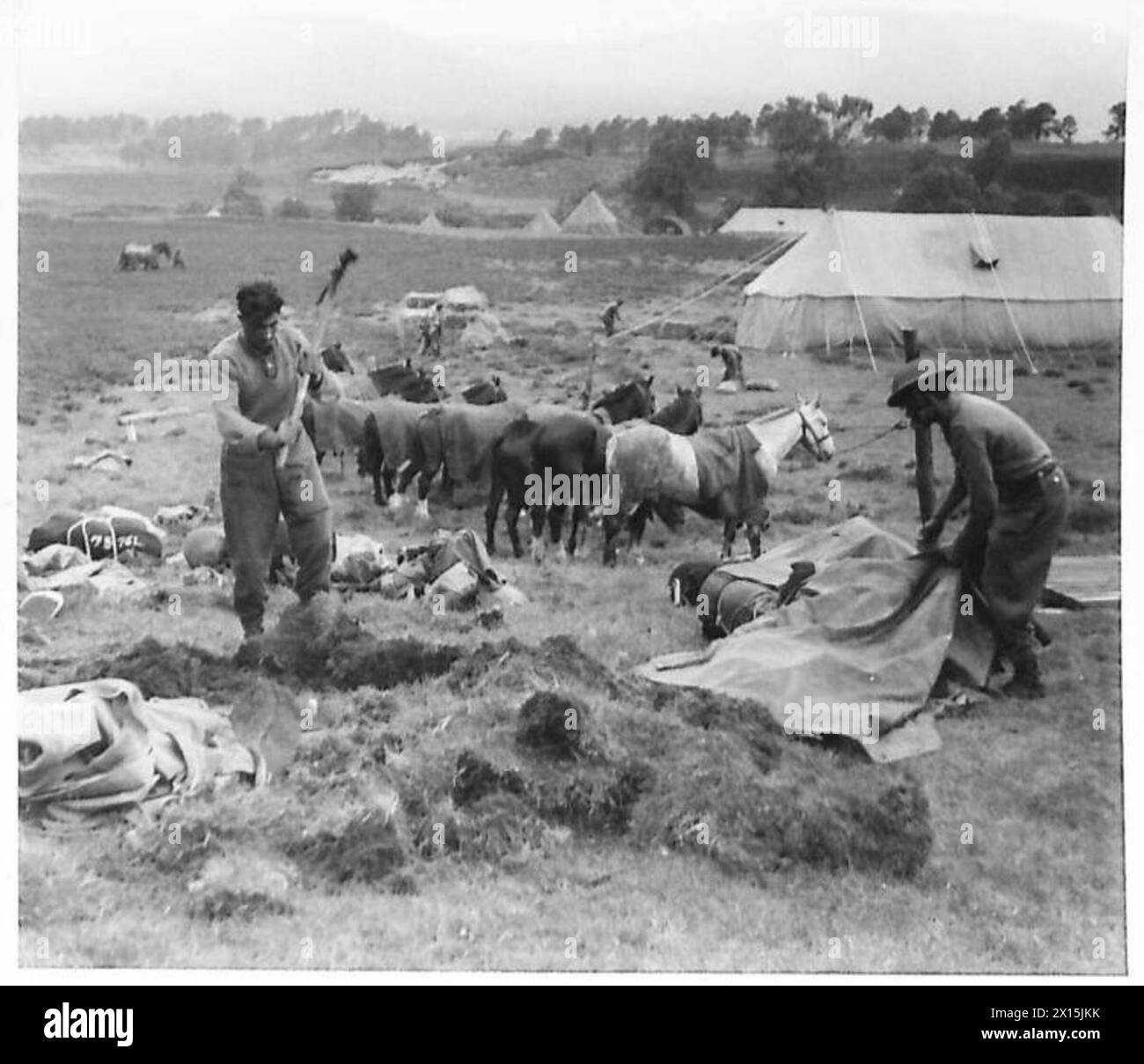 Mitglieder des Royal Indian Army Service Corps binden ihre Pferde an den Pferden und bereiten sich auf das Pitchcamp vor. Stockfoto
