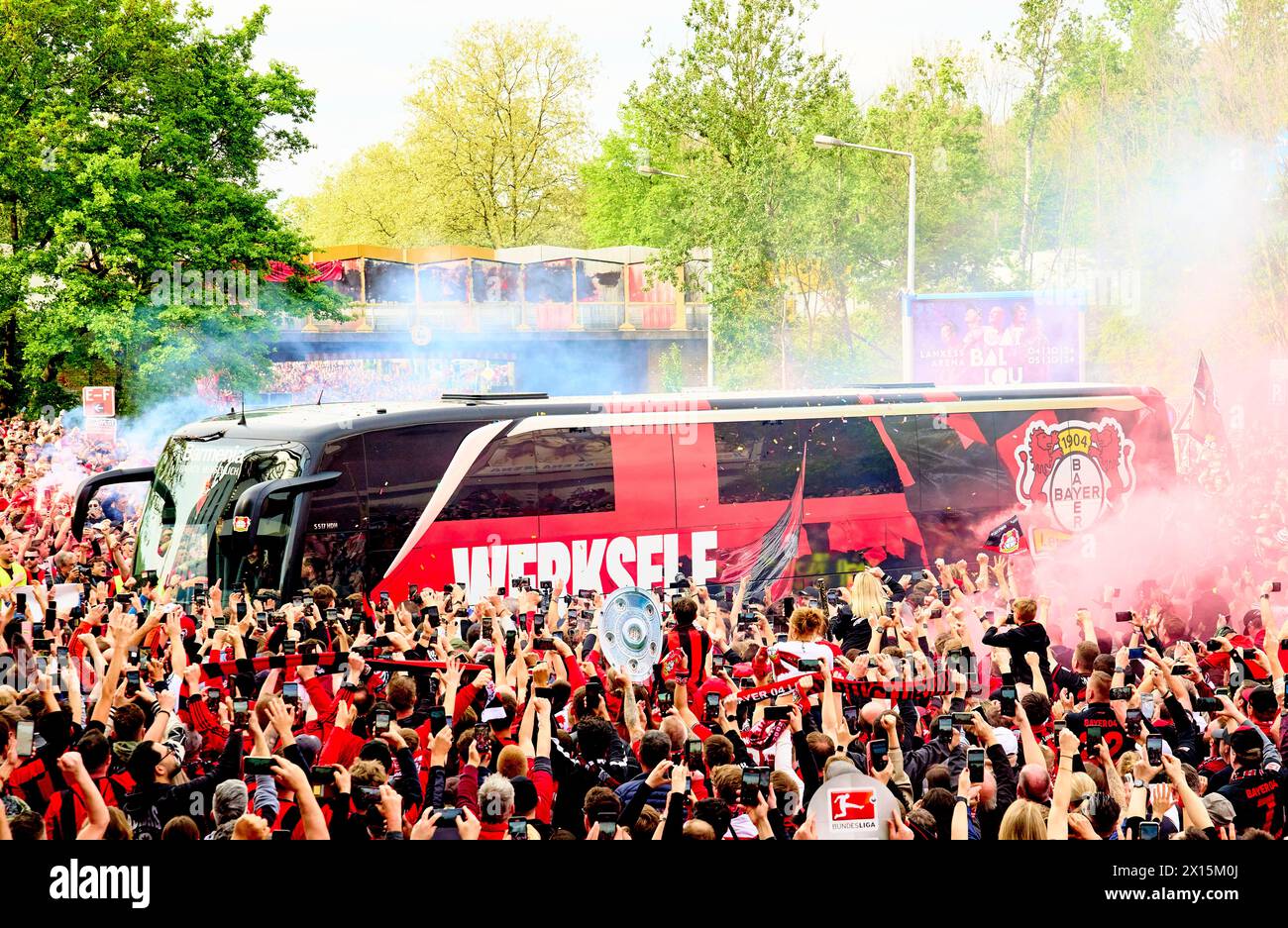 Team-Ankunft im Teambus mit feiernden Fans vor dem Spiel BAYER 04 LEVERKUSEN - SV WERDER BREMEN 5-0 am 14. April 2024 in Leverkusen. Saison 2023/2024, 1.Bundesliga, Spieltag 29, 29.Spieltag © Peter Schatz / Alamy Live News - DFL-VORSCHRIFTEN VERBIETEN DIE VERWENDUNG VON FOTOGRAFIEN als BILDSEQUENZEN und/oder QUASI-VIDEO - Stockfoto