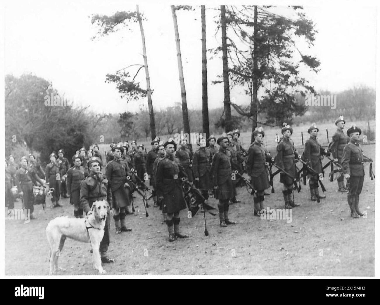 Die Pipe Band of the London Irish Rifles paradiert in der Nähe von Tunbridge Wells mit ihrem Irish Wolfhound Maskottchen unter der Aufsicht des Eastern Command der British Army. Stockfoto