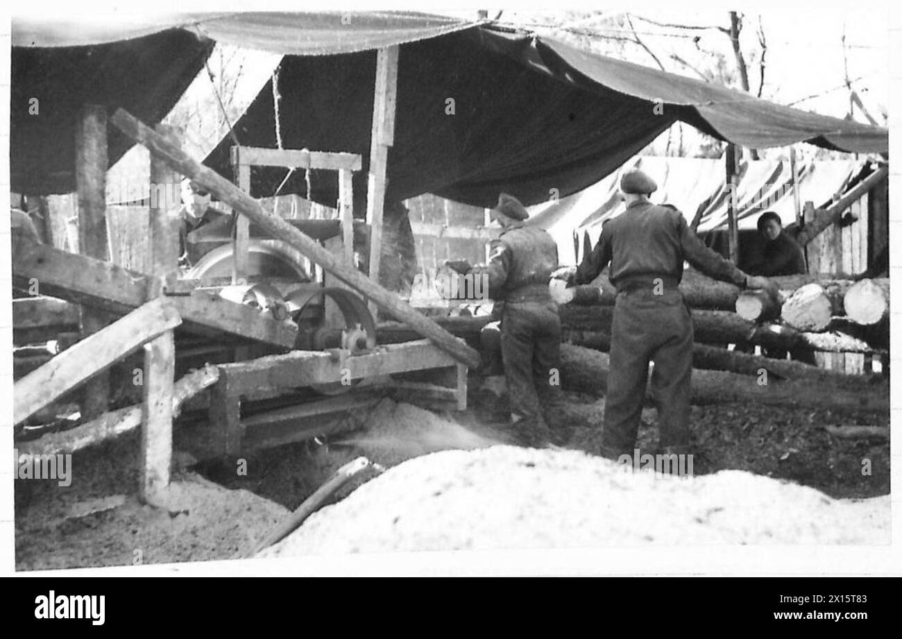 HOLZFÄLLER IN HOLLAND – die geschnittenen Bäume werden im tragbaren Sägewerk der British Army, 21st Army Group, geteilt Stockfoto