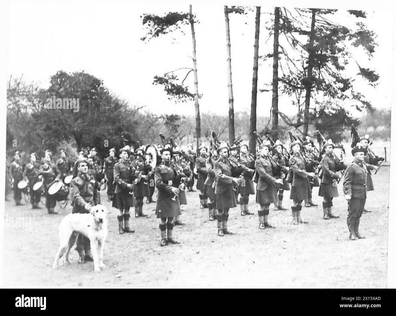 Die Pipe Band of the London Irish Rifles paradiert in der Nähe von Tunbridge Wells im Eastern Command, begleitet von ihrem Maskottchen, einem irischen Wolfshund, der britischen Armee. Stockfoto