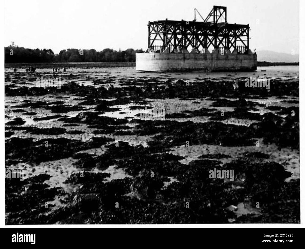 Das Nilpferd Nr. 1 wird im Rahmen eines Sonderauftrags von D.TN an der Ankerstelle Rig Bay von der Hochwassermarke aus positioniert. Stockfoto