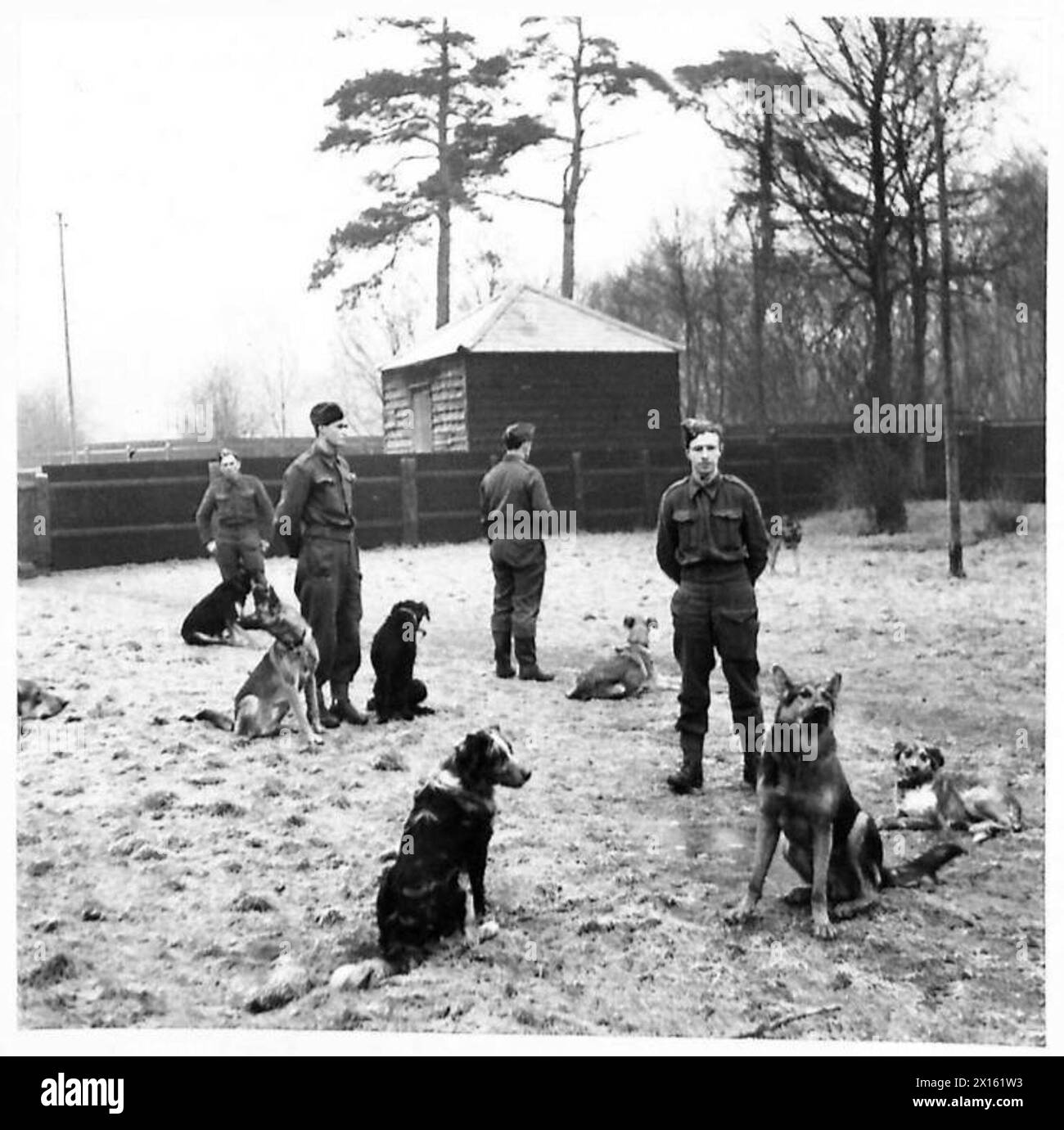 Hunde und ihre Hundeführer werden während der Morgenparade in einem Gehege der war Dogs Training School gesehen. Stockfoto