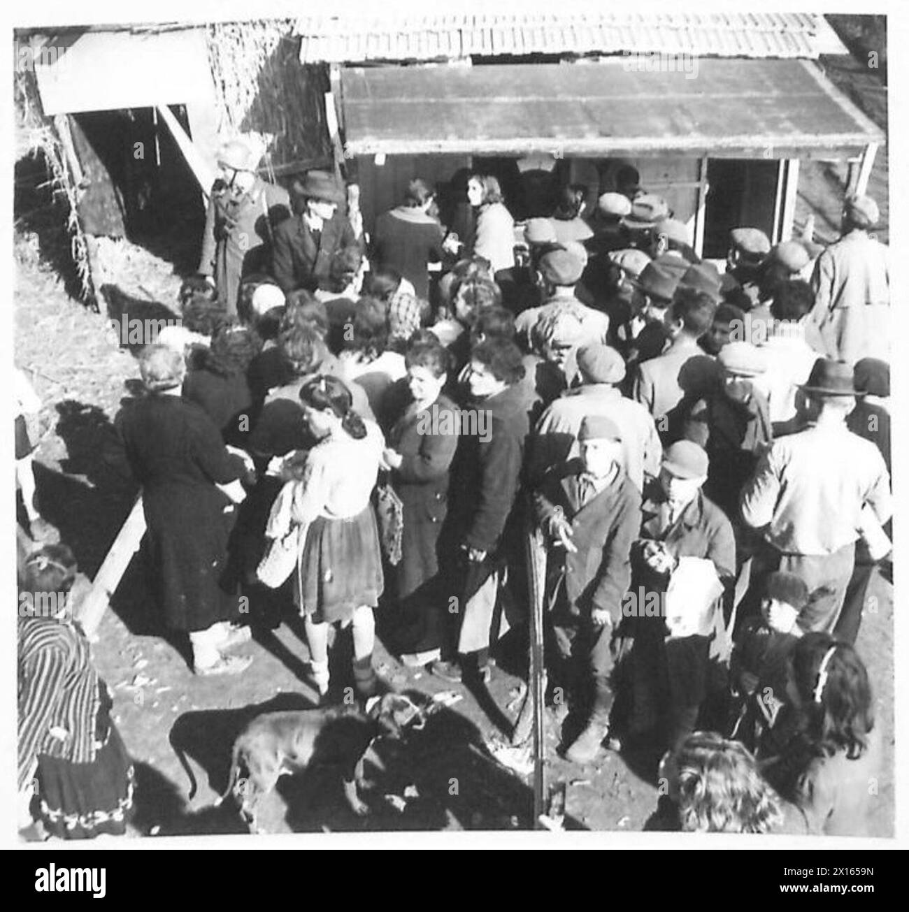 Am Brückenkopf von Anzio versammeln sich Zivilisten vor Geschäften, um Brot von A.M.G. zu erhalten, was die Unterstützung der britischen Armee für die lokale Bevölkerung zeigt. Stockfoto