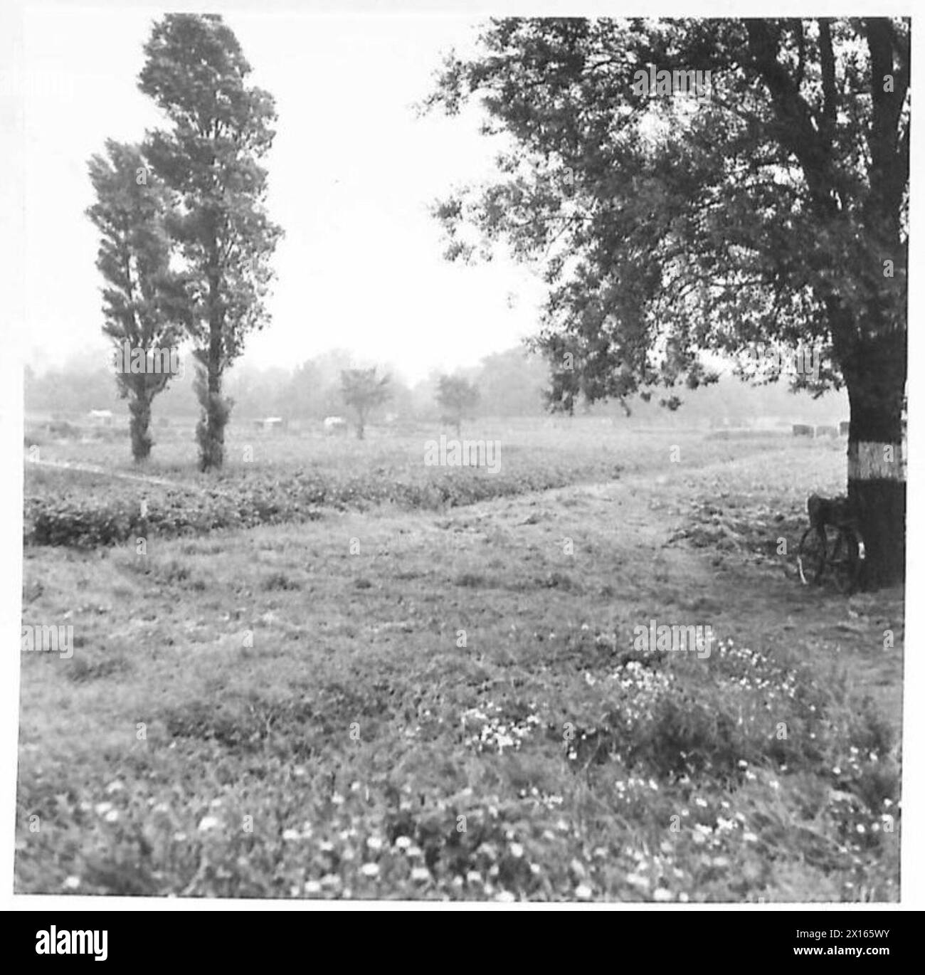 Das im August 1942 in Anbau befindliche Land demonstriert die Beteiligung der britischen Armee an der Nahrungsmittelproduktion während des Zweiten Weltkriegs Stockfoto