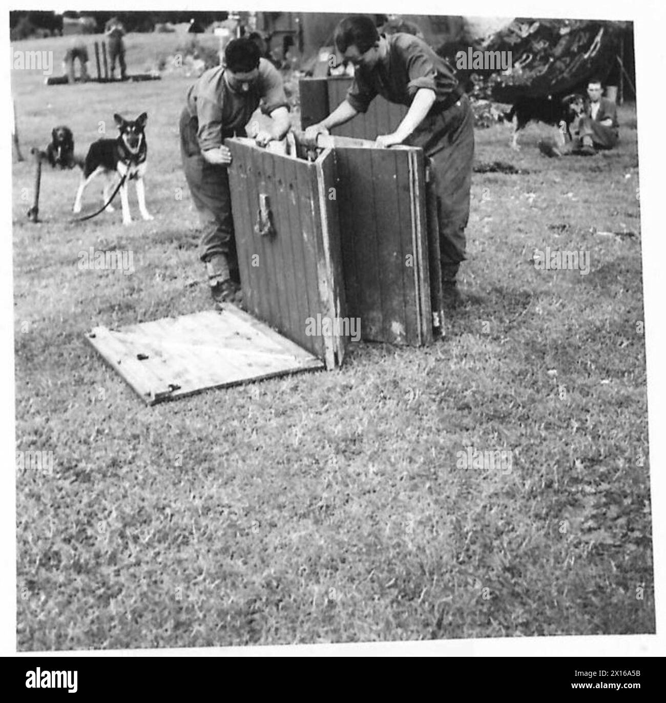Militärhunde sind ausgebildet, um Minen zu erkennen, mit faltbaren Zwingern, die speziell für ihre Unterbringung entwickelt wurden, British Army, 21st Army Group. Stockfoto
