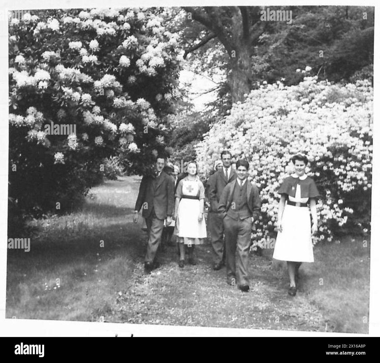 Krankenpfleger und Patienten werden auf dem Gelände von Sandleford Priory, einem Landhaus, das als Erholungsheim dient, mit Rhododendren und Azaleen im Hintergrund abgebildet. Stockfoto