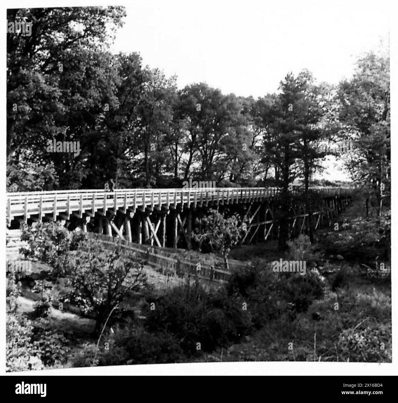 Einheiten der Royal Engineers bauten unter kanadischen Offizieren eine schwere improvisierte Holzbrücke im White Myre Camp mit lokal geschnittenem Holz, um eine Ladung der Klasse 70 zu unterstützen, einschließlich Churchill-Tanks auf Transportern. Stockfoto