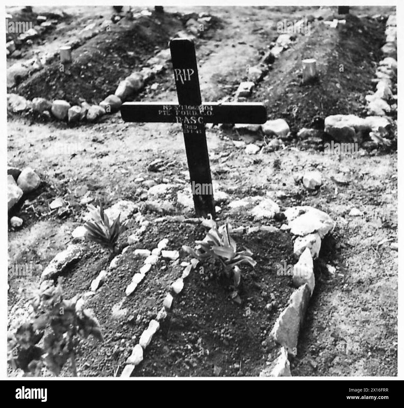 Der Friedhof in Nordafrika zeigt die Gräber von zwei Mitgliedern der Army Film Photo Section, darunter Pte. Ford, C.U., R.A.S.C., starb am 23. Januar 1943 bei der Nummer 2 AFPUs. Stockfoto