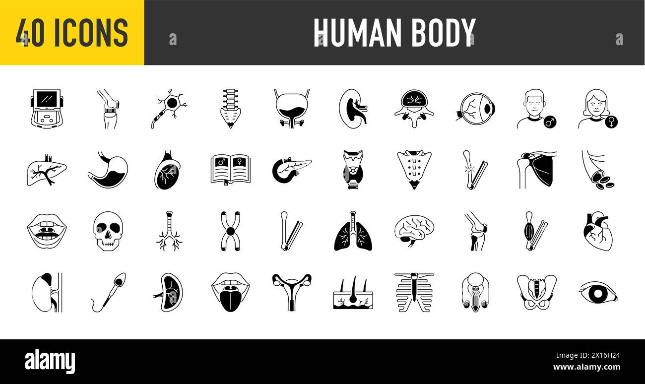 Bündel von Körperteilen und Organsymbolen. Vektorillustration des menschlichen Körpers Stock Vektor
