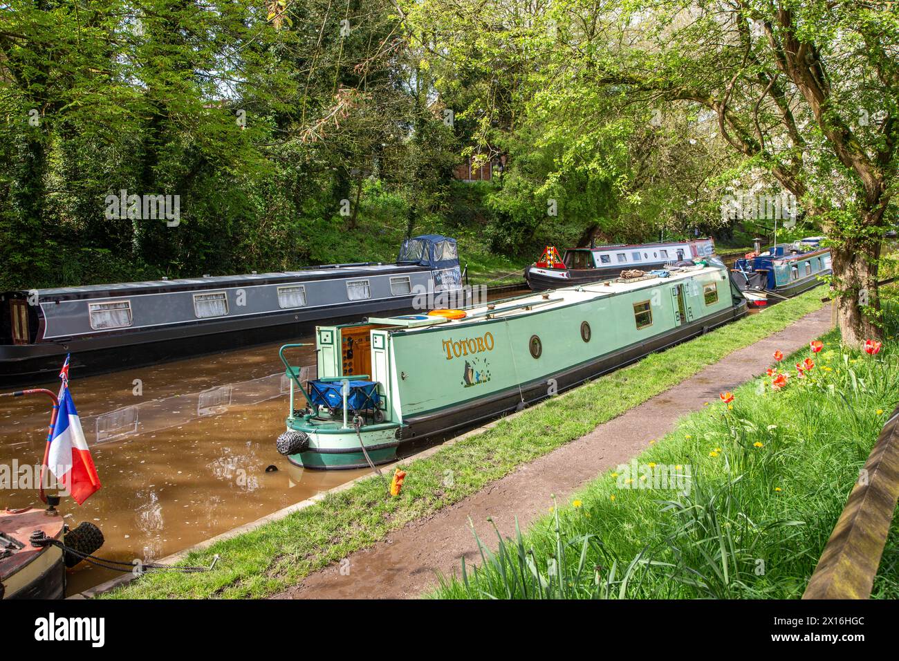 Die Schmalboote des kanals vertäuten entlang des Schleppweges des Shropshire union Canal, während sie durch das Dorf Audlem Cheshire fahren Stockfoto