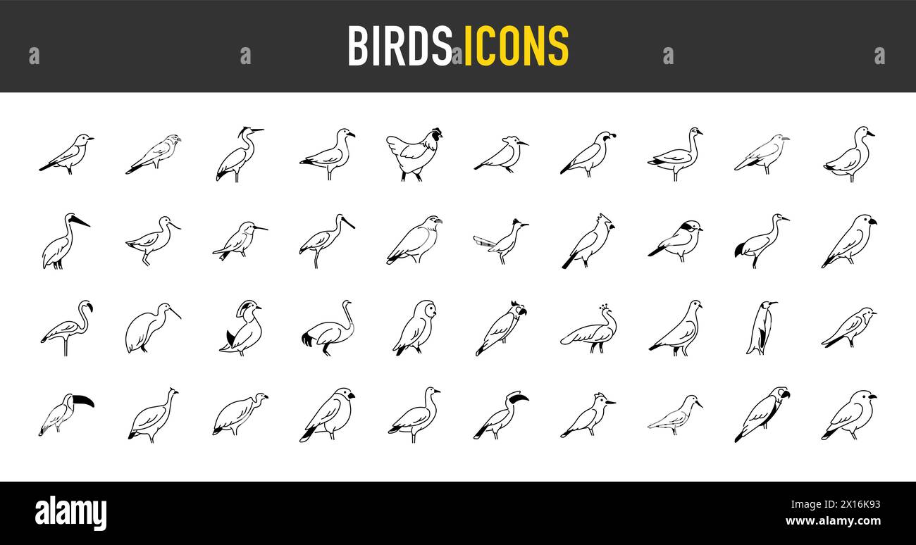 Set von Vogelsymbolen. Einfaches Icons-Paket im Kunststil. Vektorabbildung Stock Vektor
